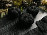 Felted wool pumpkins, set of 3, Raven Black