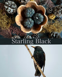 Felted wool pebbles, set of 3, Starling Black