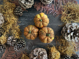 Felted wool pumpkins, set of 3, Oak Leaf Brown
