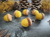 Felted wool acorns, set of 6, Gold Clay Yellow