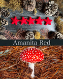 Wool star ornaments, set of 5, Amanita Red