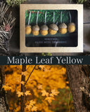 Felted Wool Acorn Ornaments, set of 6, Maple Leaf Yellow