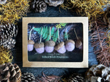 Felted Wool Acorn Ornaments, set of 6, Anemone Purple