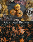 Felted wool pumpkins, set of 3, Oak Leaf Brown