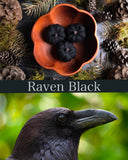 Felted wool pumpkins, set of 3, Raven Black