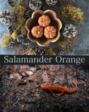 Felted wool pumpkins, set of 25, Salamander Orange