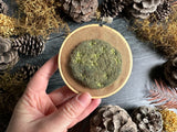 Embroidery hoop art, wool moss on linen, 3.25 inches