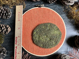 Embroidery hoop art, wool moss on linen, 6.25 inches
