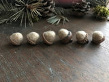 Felted wool acorns, set of 6, Sand Brown