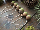 Felted Wool Acorn Ornaments, set of 6, Fern Green